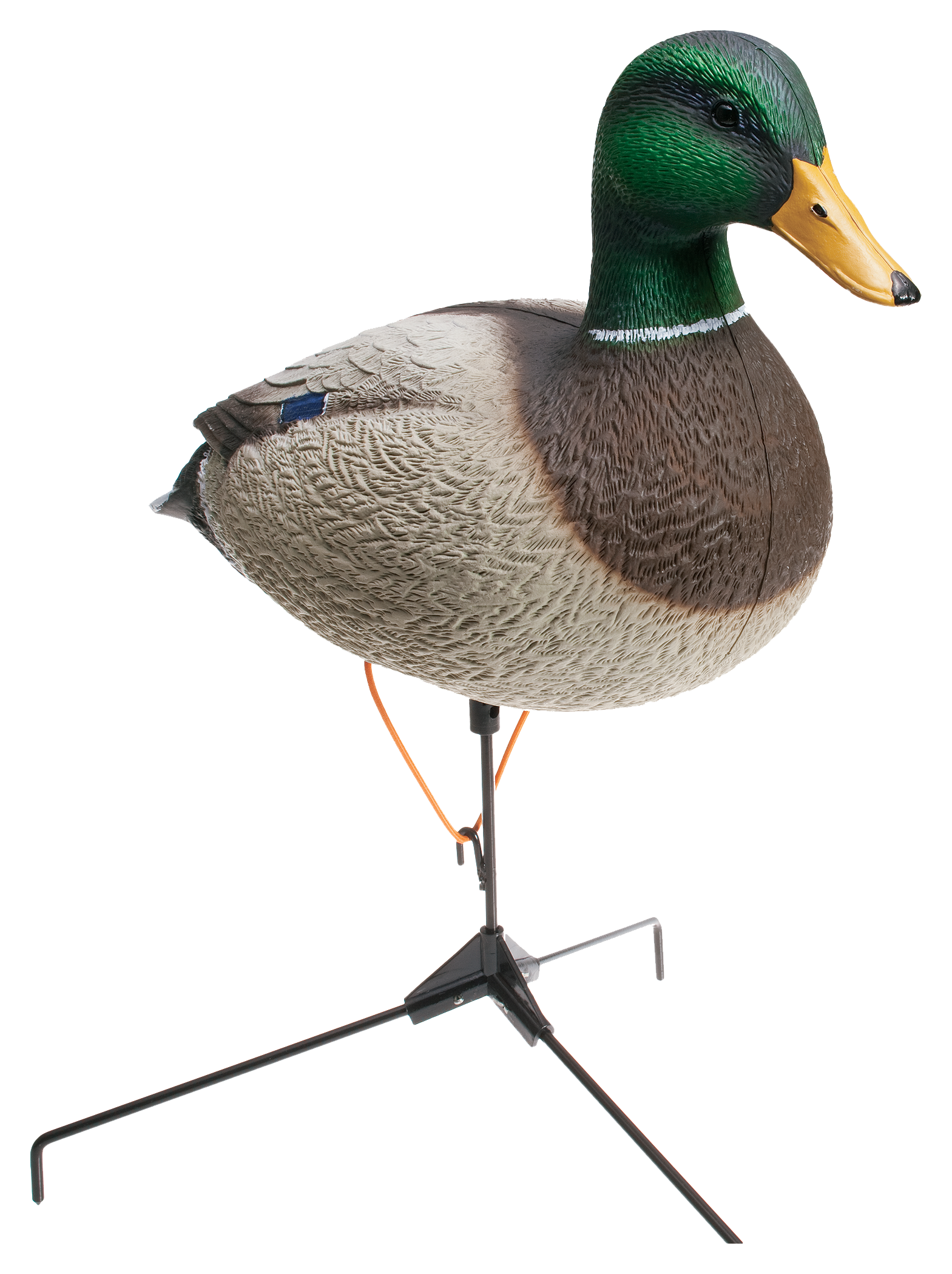 Big Foot B2 Field Full Body Mallard Duck Decoys Cabela's